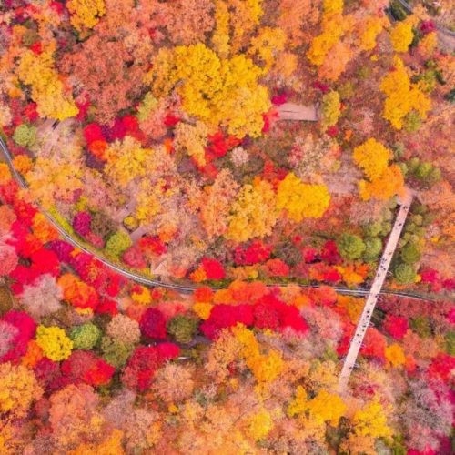 화담숲 사진 - 출처: 공식홈페이지