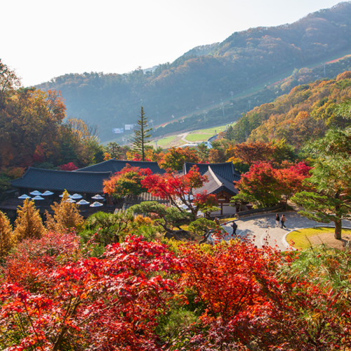 화담숲 사진 - 출처: 공식홈페이지